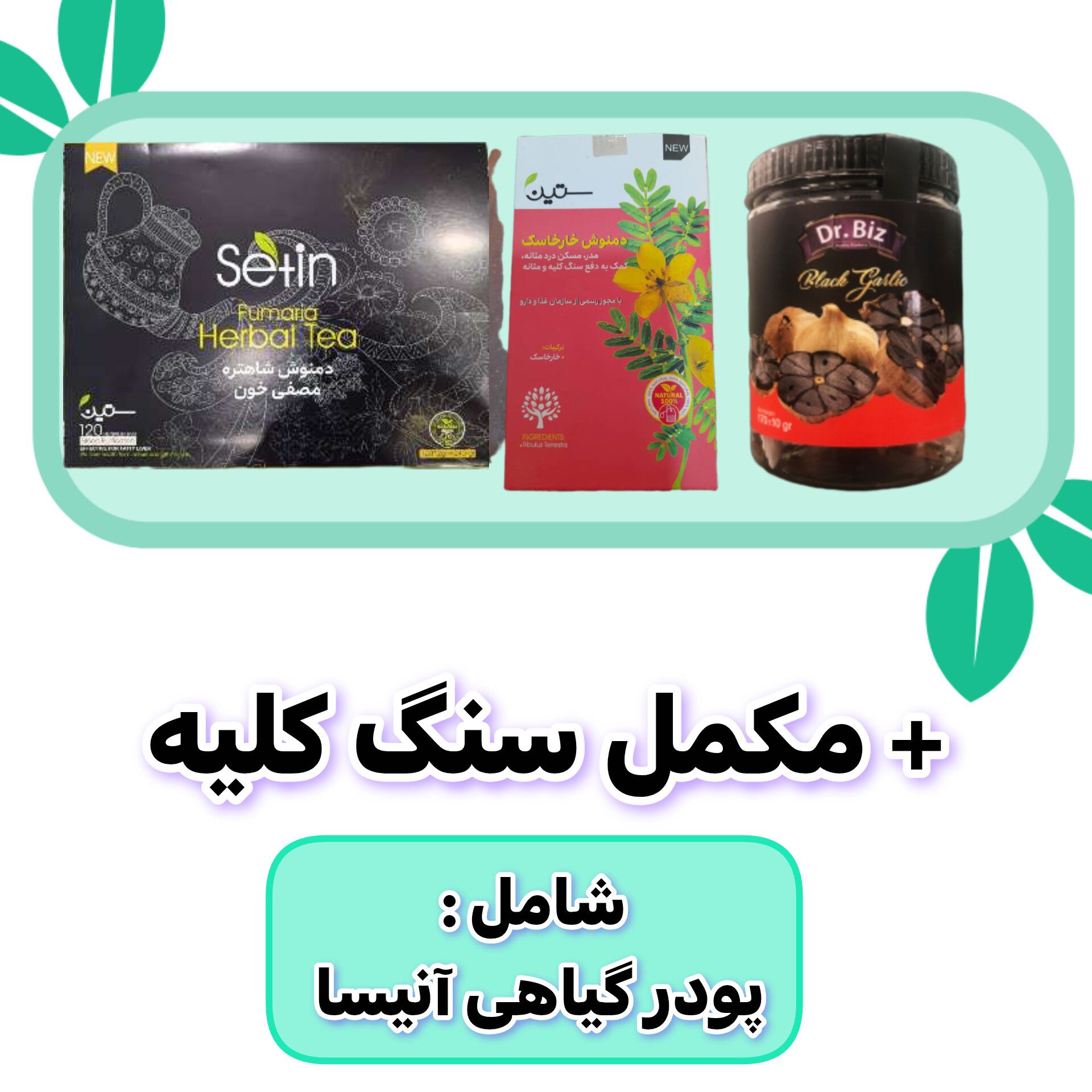 پکیج رفع سنگ کلیه گیاهی